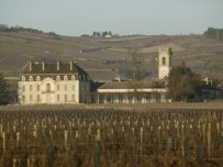 Франция запускает национальный винный бренд